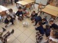/album/fotogaleria/jugando-al-dado-con-acciones-1-jpg/